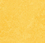 Marmoleum - Click - Lemon Zest - Linoleum - Forbo