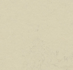 Marmoleum - Click - Moon - Linoleum - Forbo